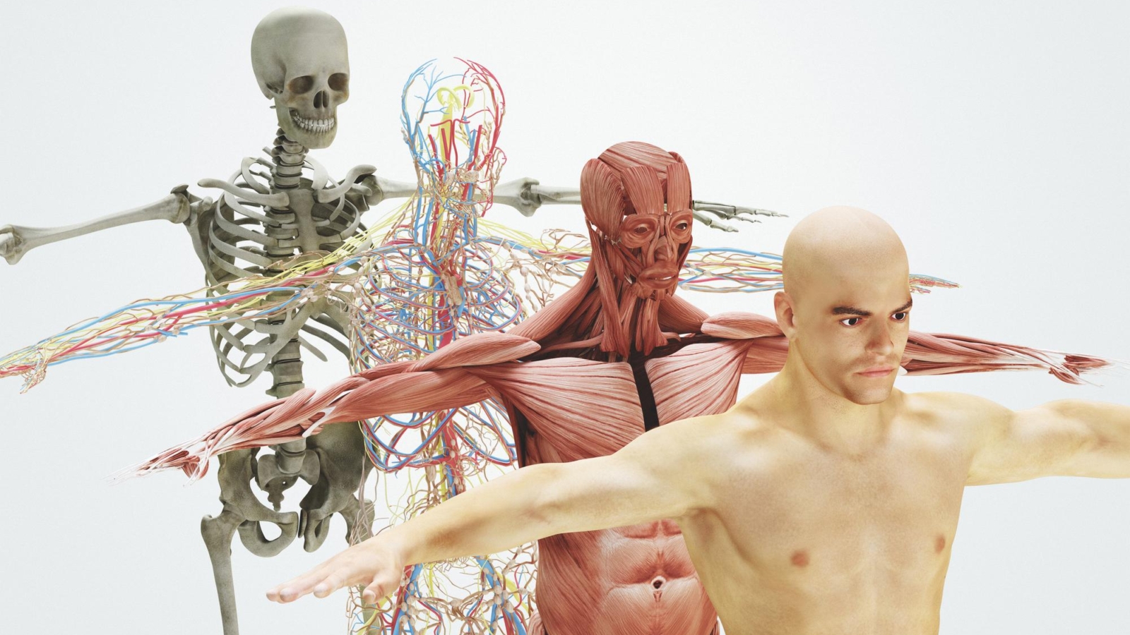 Centro Chinesys, Studio di Chinesiologia e Posturologia a San Benedetto del Tronto, Ascoli Piceno, Fermo e Teramo